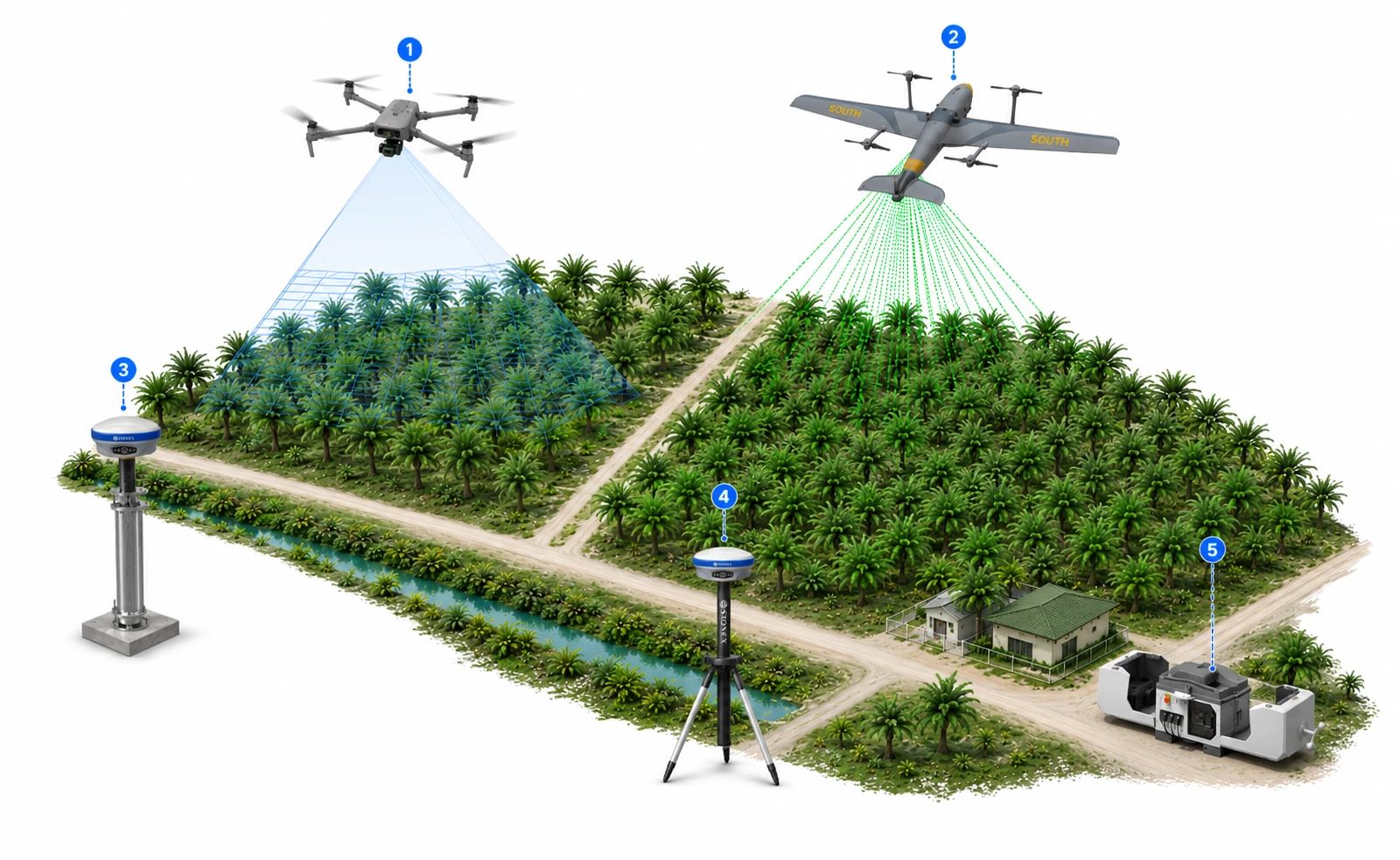 Solutions_Plantation