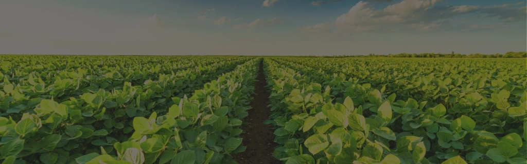Agriculture & Plantation